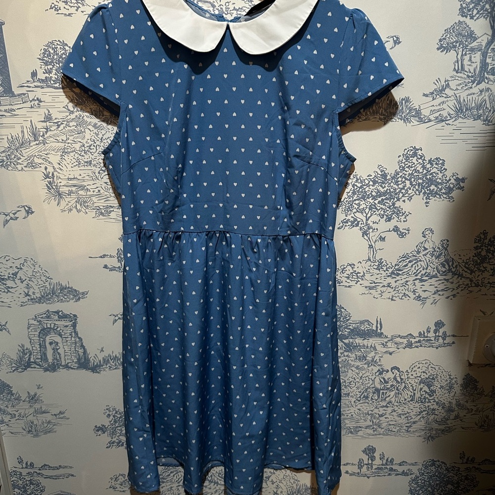 Blue Women’s Dress with White Collar